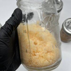 import placeholder for 7248