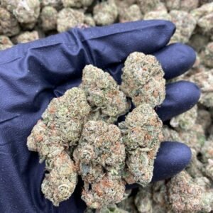 import placeholder for 9584