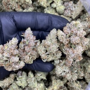 import placeholder for 9497