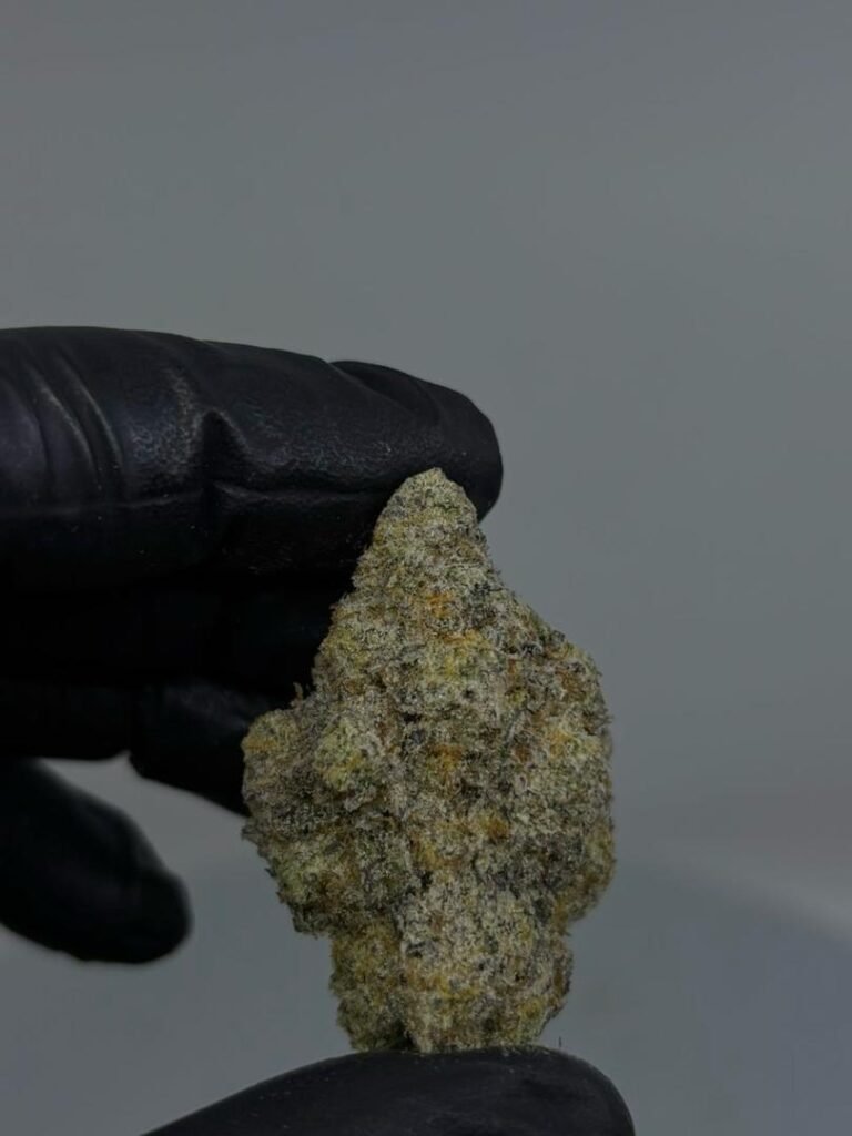 Russian Cream Candy Strain 7 Russian Cream Candy Strain