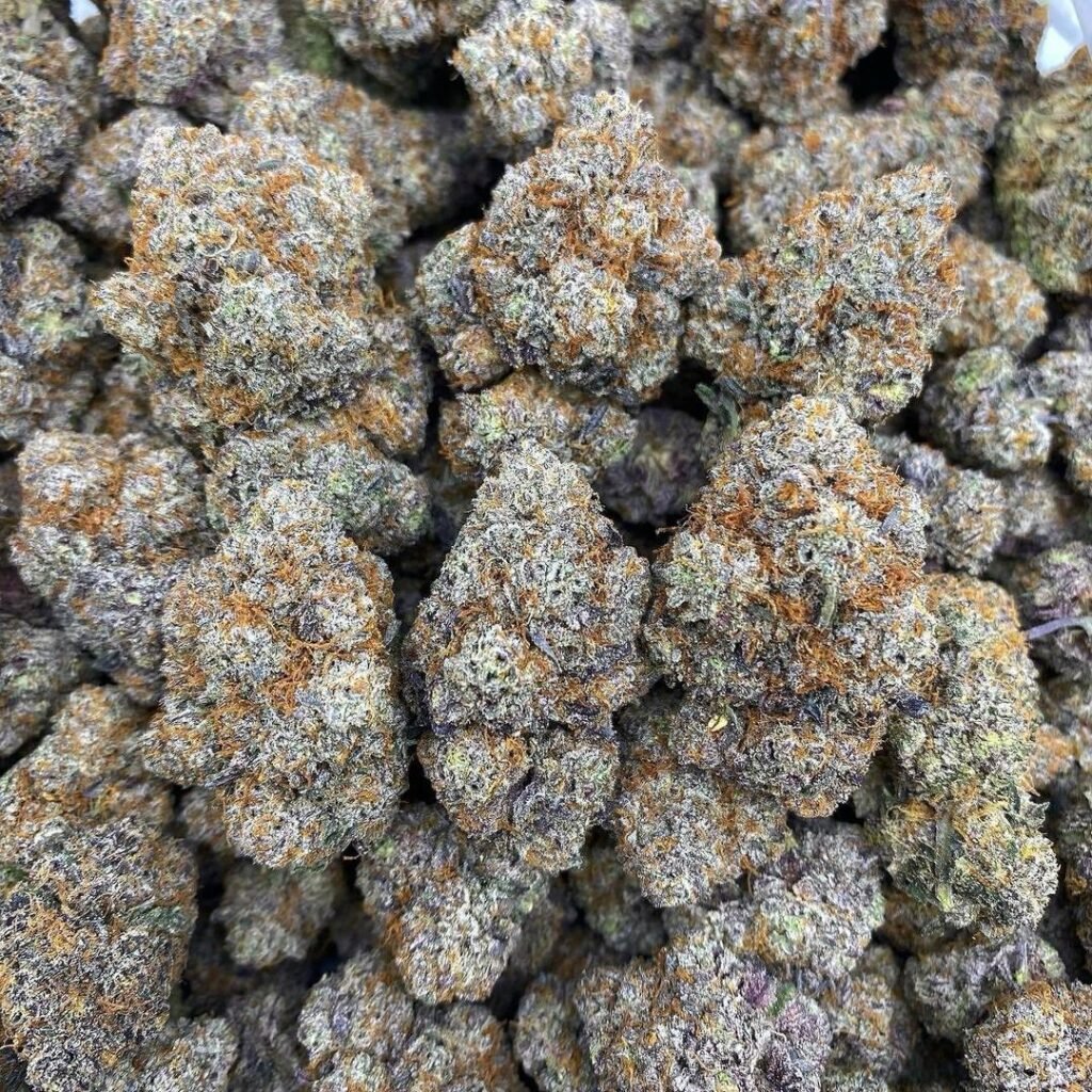 Blue Dream vs Wedding Cake Strain 2 Blue Dream vs Wedding Cake Strain