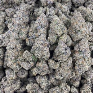 Black cherry gelato strain