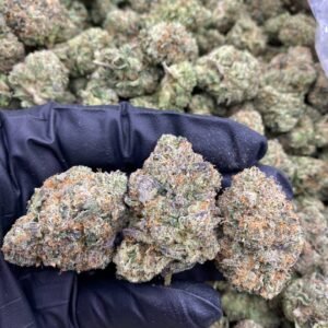 import placeholder for 9454