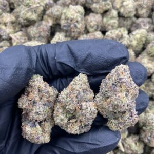 import placeholder for 9850