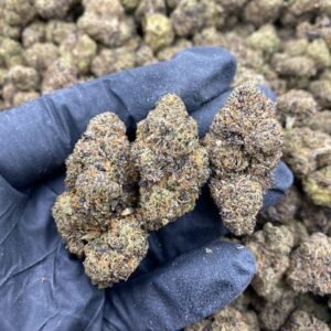 import placeholder for 9832