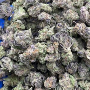 import placeholder for 9844