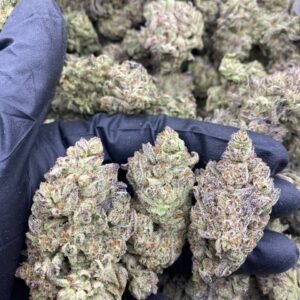 import placeholder for 9338