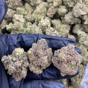 import placeholder for 9668