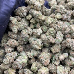 import placeholder for 9778