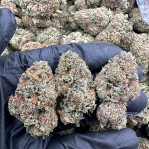 import placeholder for 9826