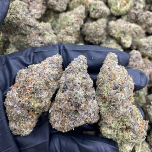 import placeholder for 9435