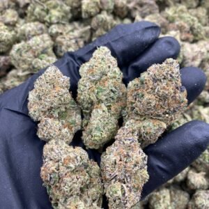 import placeholder for 9687