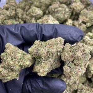 import placeholder for 9814