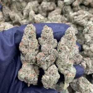 import placeholder for 9766