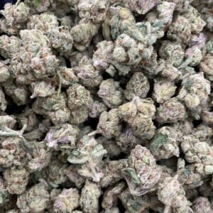 import placeholder for 9613