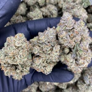 import placeholder for 9503