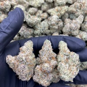 import placeholder for 9509