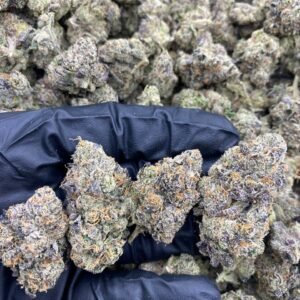 import placeholder for 9699