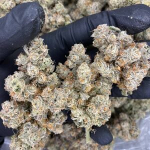 import placeholder for 9494