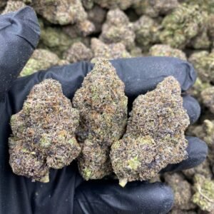 import placeholder for 9808