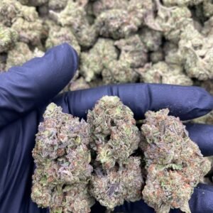 import placeholder for 9748