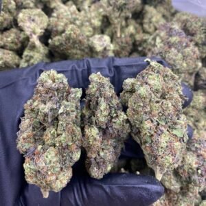 import placeholder for 9705