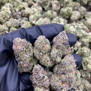 import placeholder for 9465