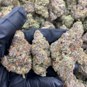 import placeholder for 9448