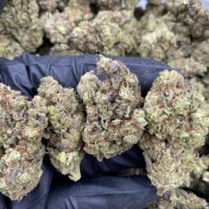 import placeholder for 9729