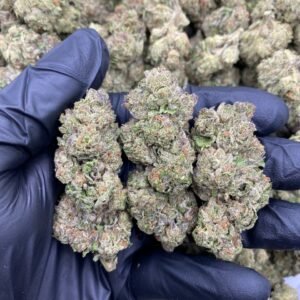 import placeholder for 9398