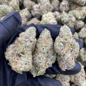 import placeholder for 9423