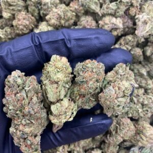 import placeholder for 9717