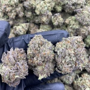 import placeholder for 9349