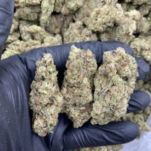 import placeholder for 9374