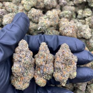 import placeholder for 9429