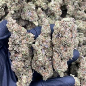 import placeholder for 9392