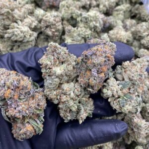 import placeholder for 9533