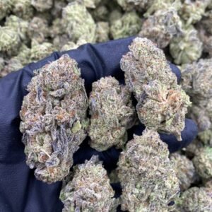 import placeholder for 9539