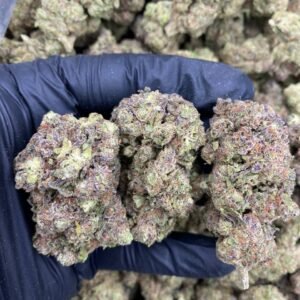 import placeholder for 9386