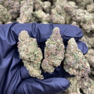 import placeholder for 9655