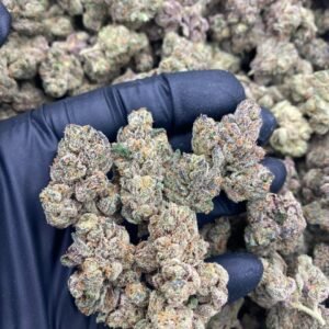 import placeholder for 9482