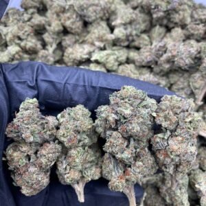 import placeholder for 9723