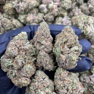 import placeholder for 9572