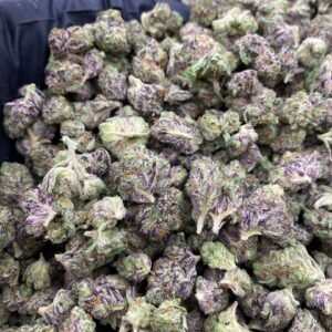 import placeholder for 9607