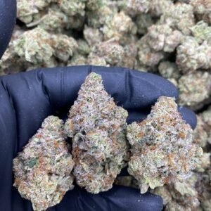 import placeholder for 9521