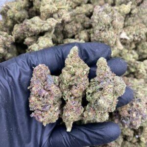 import placeholder for 9380