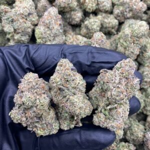 import placeholder for 9637