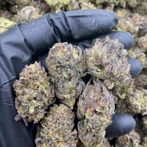 import placeholder for 9362