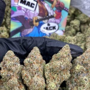 import placeholder for 9619