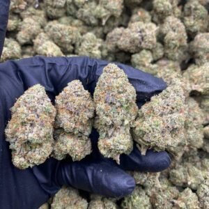 import placeholder for 9631